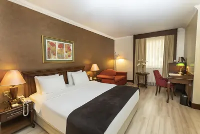 LaresPark Hotel - Istanbul - Photo 3