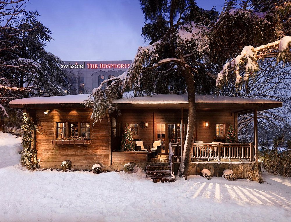 Swissotel The Bosphorus, Istanbul - Photo 20