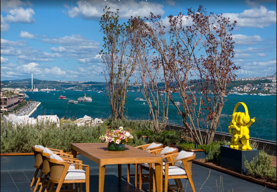 The Peninsula Istanbul - Photo 30