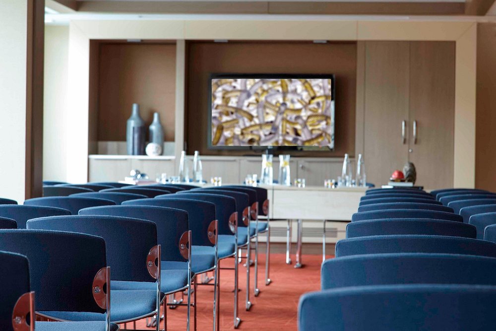 Renaissance Istanbul Polat Bosphorus Hotel - Photo 29